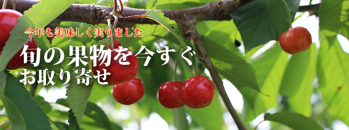 さくらんぼ
