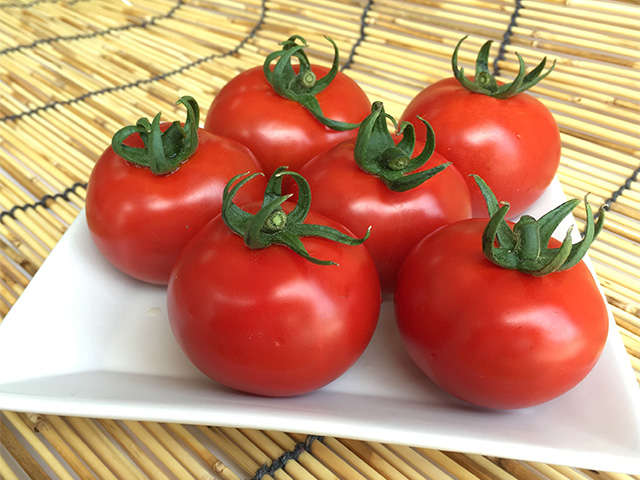 カンパリとまと