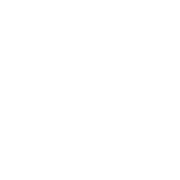 shopping cart